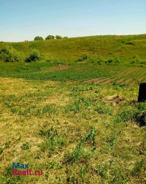 Пестрецы Шалинское сельское поселение, село Шали, улица Мусы Джалиля продажа частного дома