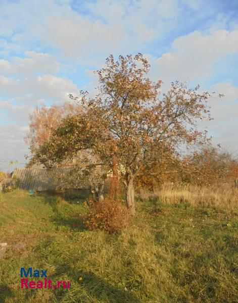 Выгоничи Выгоничское городское поселение, посёлок городского типа Выгоничи, улица Калинина дом