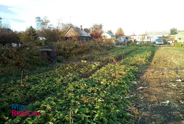 Приамурский Еврейская автономная область, поселок городского типа Приамурский, Садовая улица, 31 продажа частного дома