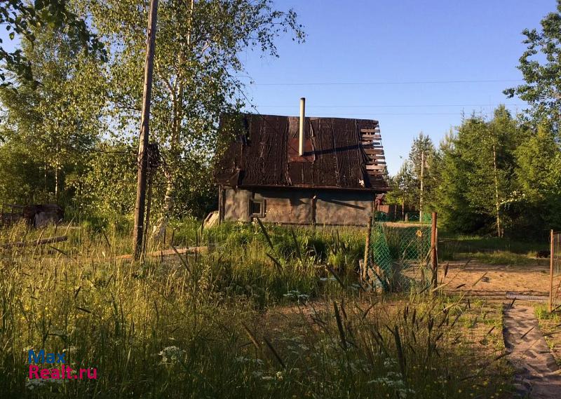 Мга Мгинское городское поселение, посёлок станции Сологубовка дом