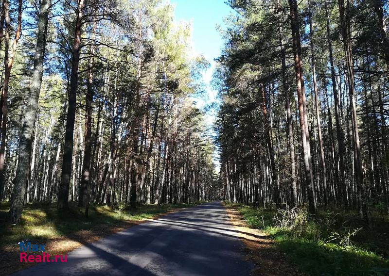 Волга деревня Дегтярицы квартира купить без посредников