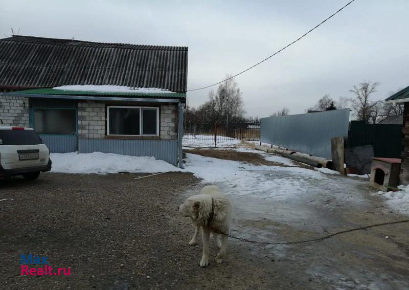 Приамурский Еврейская автономная область, поселок городского типа Приамурский, Советская улица, 3А дом