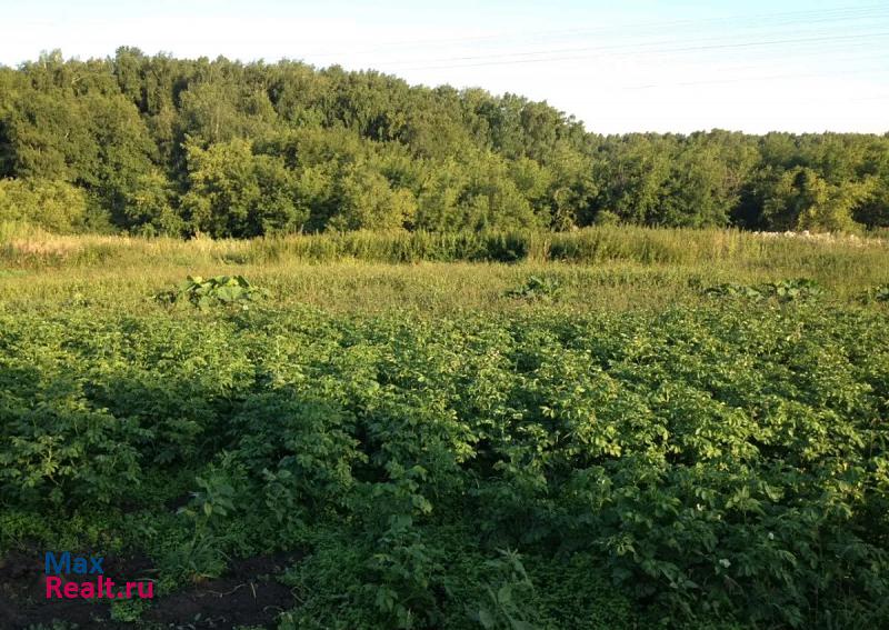 Инской село Менчереп, Целинная улица дом