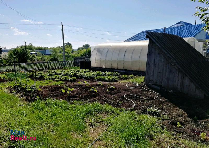 Тогул Ельцовский район, село Мартыново дом