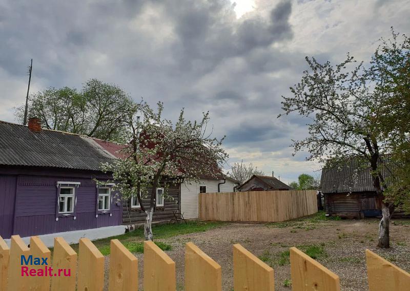 Кременки село Высокиничи, Советский переулок, 6 дом