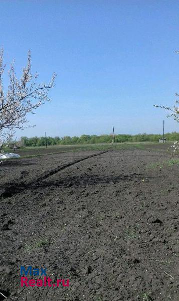 Глушково село Сухиновка, Глушковский район, Советская улица дом