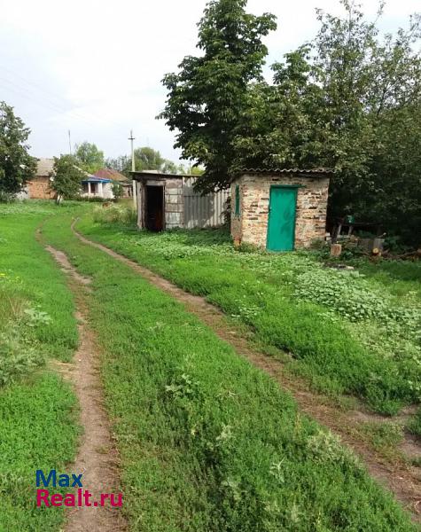 Воронеж Липецкая обл. Тербунский район, с. Березовка. дом