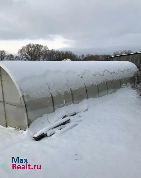 Мензелинск село Кузкеево дом