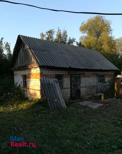 Становое Липецкая обл., Становлянский р-н, д. Чемоданово, ул Школьная, 27 дом