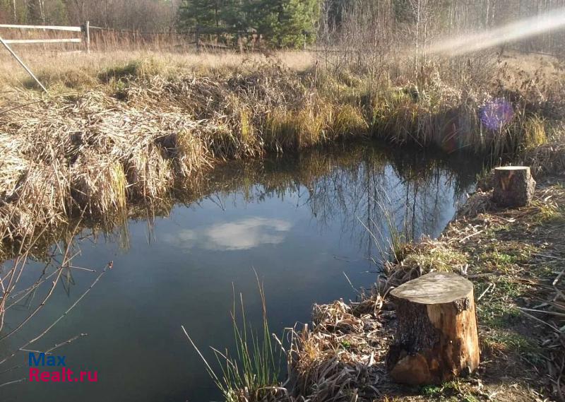 Ершичи село Ворга дом