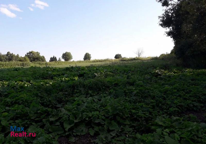 Одоев село Левенское дом