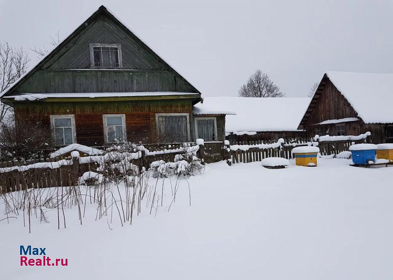 Новосокольники деревня Коровкино дом