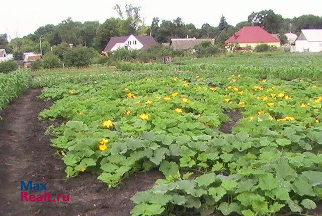 Хлевное село Конь-Колодезь дом