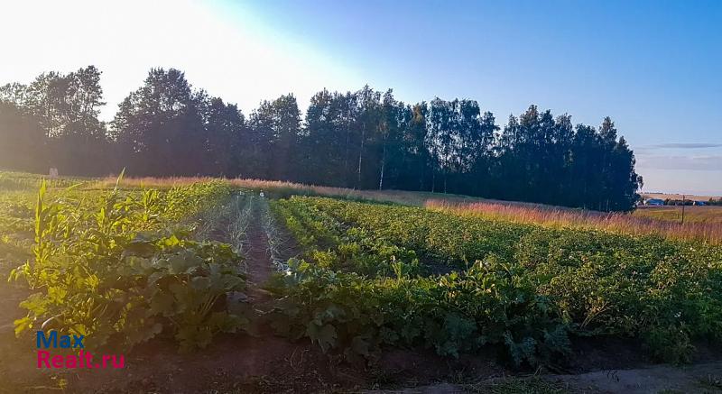 Глинищево Чернетовское сельское поселение, село Госома, улица Ленинская Искра, 16 дом