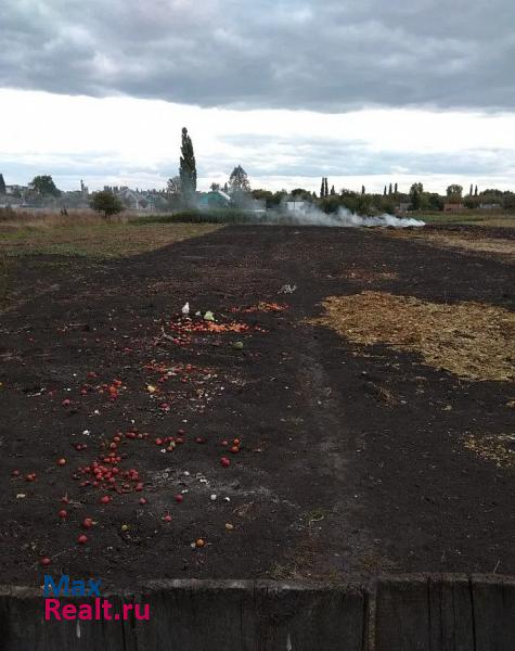 Верхняя Хава село Верхняя Хава, улица Калинина дом