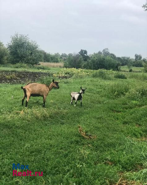 Верхняя Тишанка Таловский район, село Верхняя Тишанка продажа частного дома