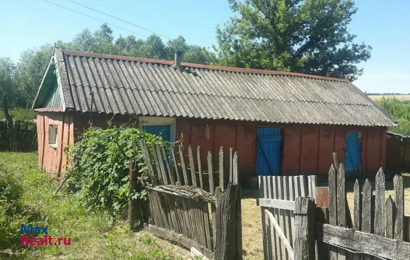 Богучар Богучарский район, село Плесновка, Октябрьская улица дом