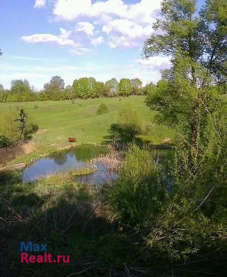 Белев Тульская обл, Белевский р-н, с. Мишенское дом