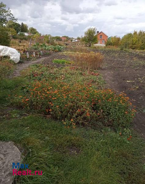 Засечное Пензенский район, село Засечное, Подгорная улица, 37 продажа частного дома