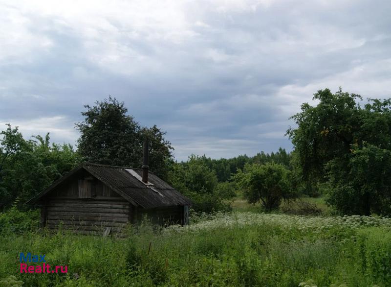 Красногородск деревня Кумордино дом