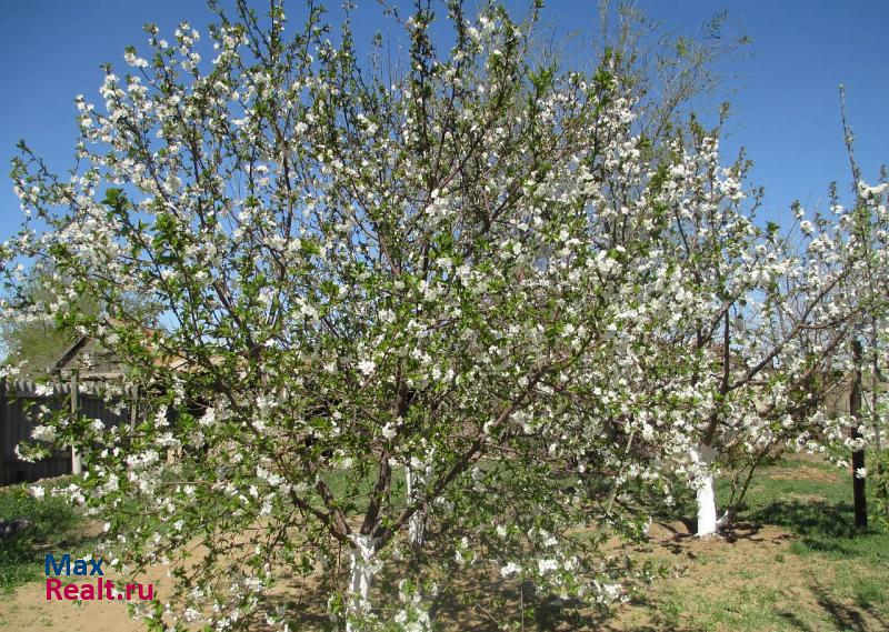 Харабали улица Софьи Перовской, 46 дом