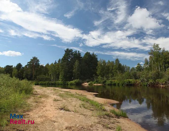 Ижевское Спасский район, деревня Папушево, Луговая улица дом