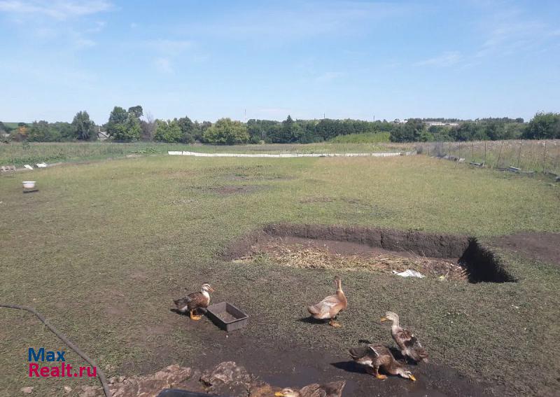 Казаки село Чернава, Первомайская улица, 103 дом