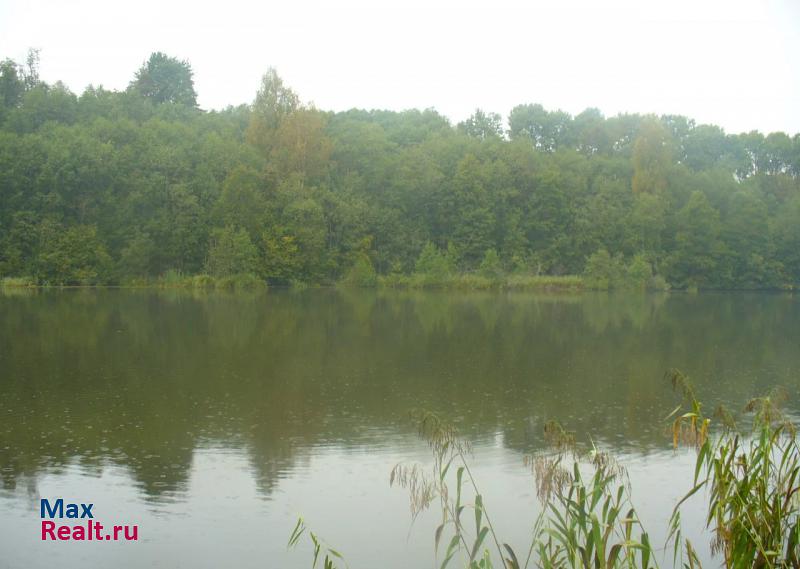 Санкт-Петербург лен. обл.  лужский  район . дер. городец продажа частного дома