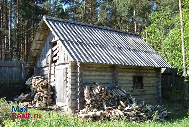 Сясьстрой Волховский район, Сясьстройское городское поселение, деревня Рогожа, 13 дом