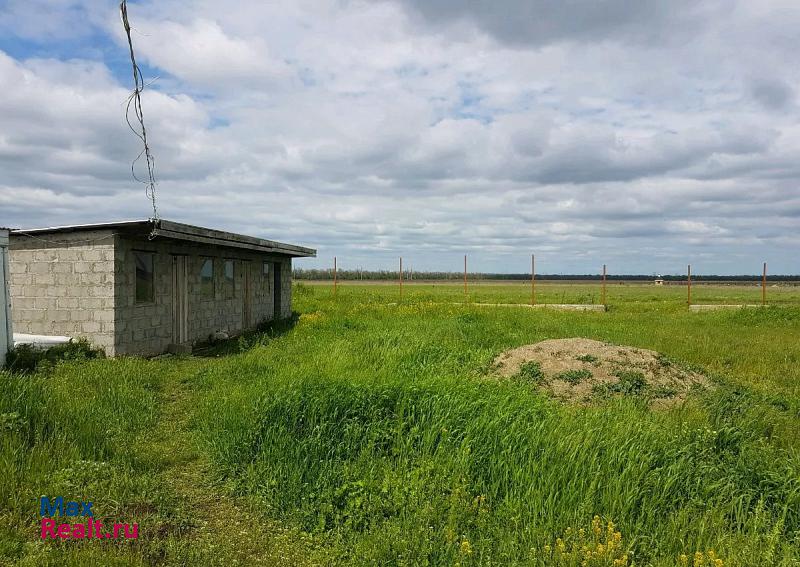 Верхнерусское село Верхнерусское продажа частного дома