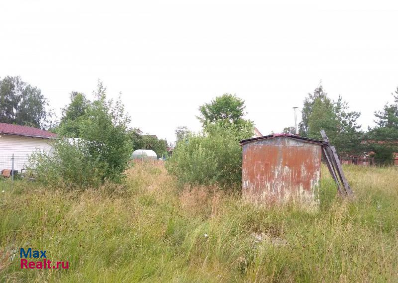 Любань Тосненский район дом