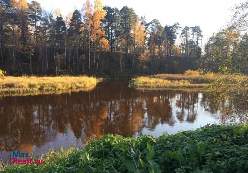 Сосновый Бор Копорское сельское поселение, деревня Систо-Палкино, 36 дом