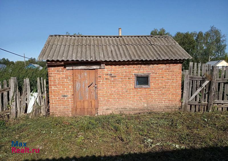 Большое Мурашкино посёлок городского типа Большое Мурашкино, Заречная улица, 12 продажа частного дома