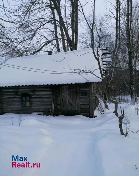 Шимск Шимский район, деревня Старый Медведь дом