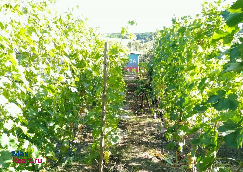 Майский село Никольское, посёлок Бродок, Степная улица дом