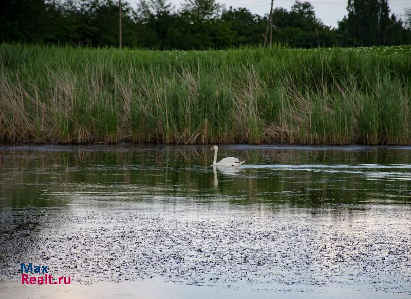 Львовское село Львовское, Набережная улица, 41 дом