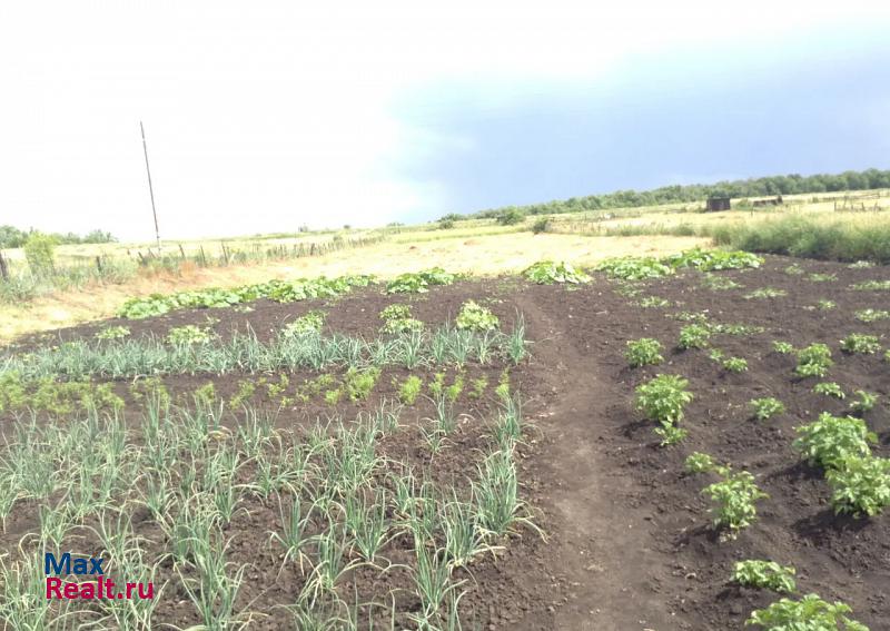 Большая Глушица село Большая Дергуновка дом