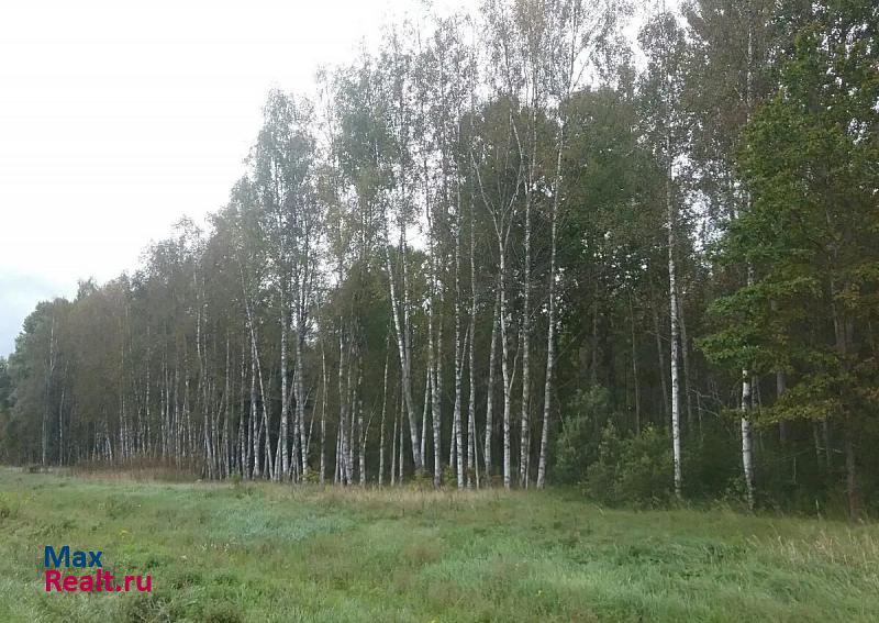 Пушкинские Горы Пушкиногорский район, д.Новгородка, д.б /н дом