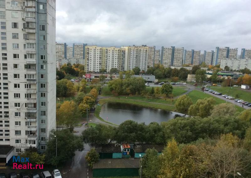 Москва Голубинская улица, 29к3