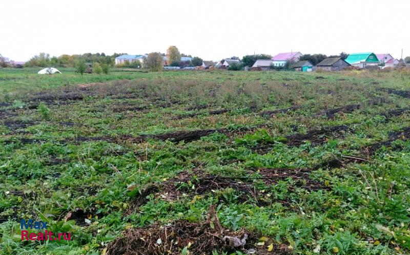 Мензелинск село Новый Мелькен, Комсомольская улица продажа частного дома