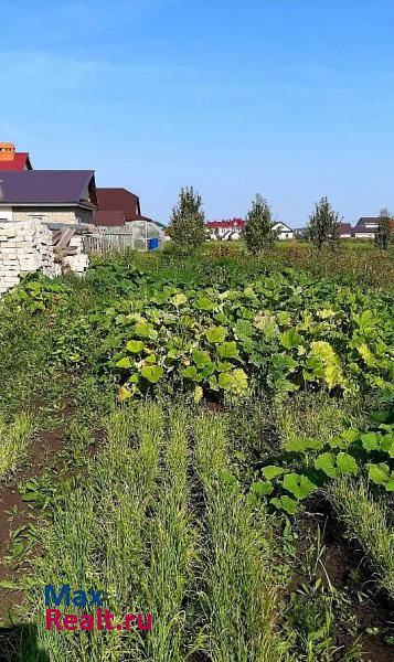 Актаныш село Актаныш продажа частного дома