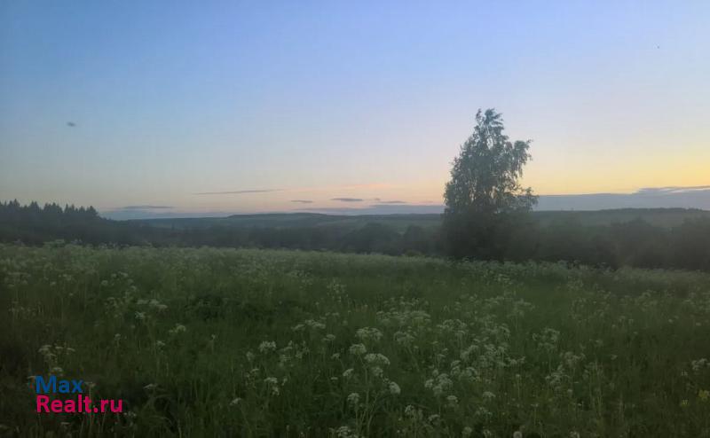 Пермь деревня Решетники, Ильинский городской округ продажа частного дома