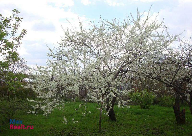 Алтайское село Алтайское дом