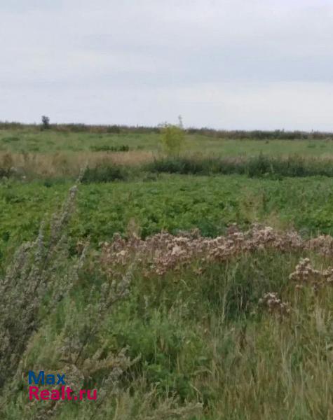 Каменка село Покровская Арчада дом