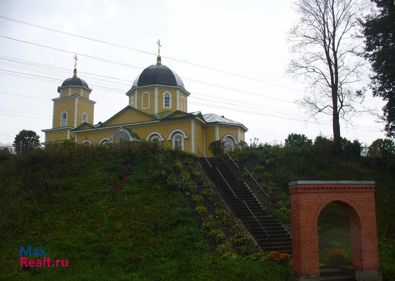 Санкт-Петербург лен. обл.  лужский  район . дер. городец дом