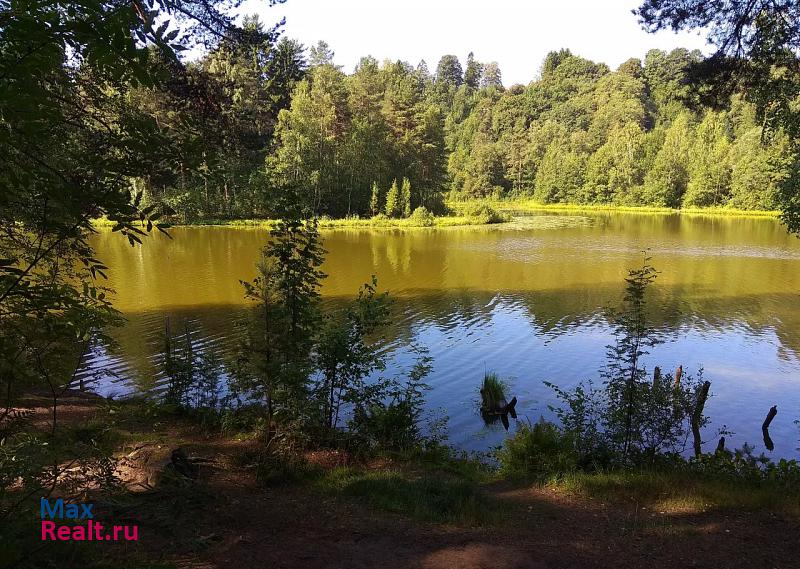 Токсово посёлок городского типа Токсово, Санаторная улица, 5/9