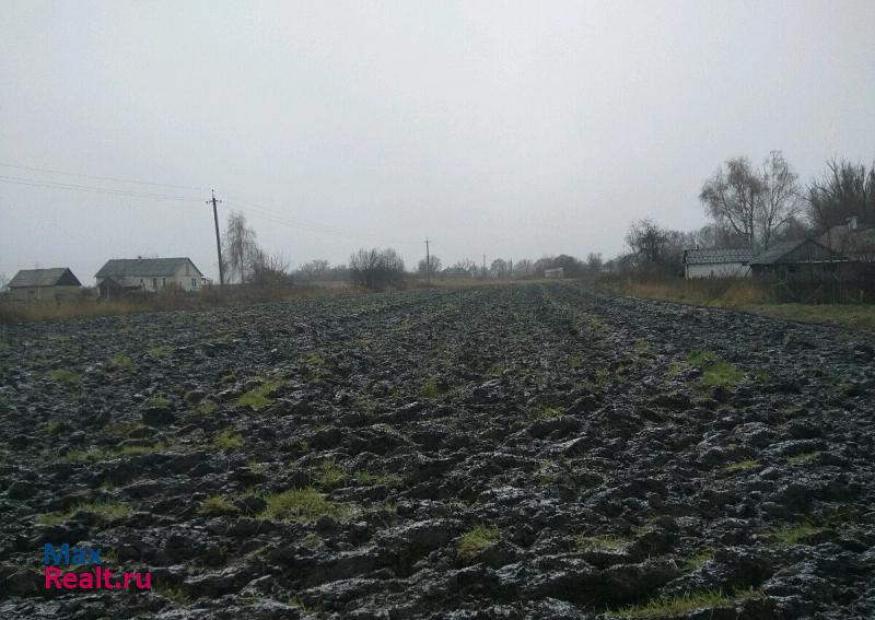 Тербуны село Вислая Поляна дом