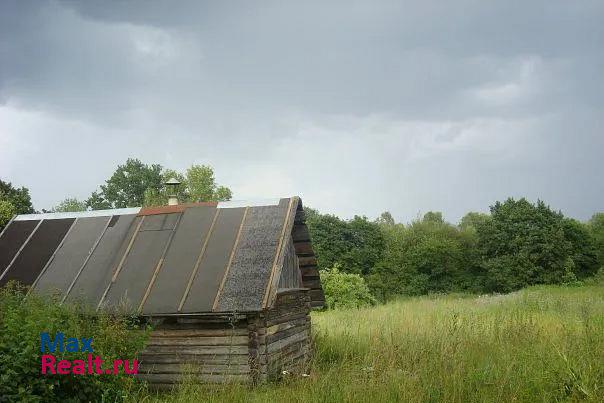 Пушкинские Горы д. Васильевское, ул. Тенистая дом