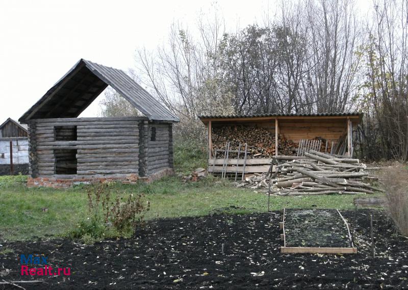 Первомайский село Старосеславино, улица Ленина дом