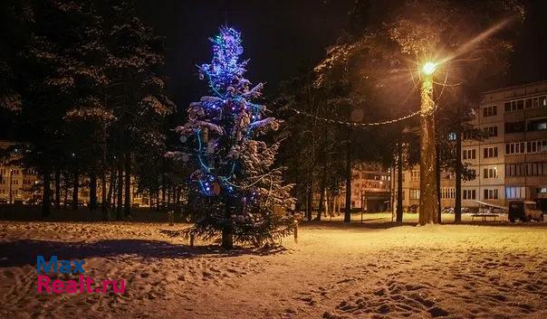 Подпорожье Никольское городское поселение, поселок городского типа Никольский, Сосновая улица, 5